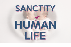 sanctity of human life with twin babies 